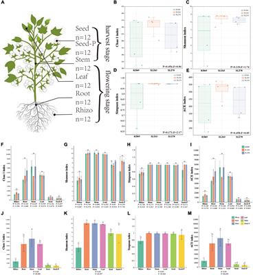 Vertical transfer and functional characterization of cotton seed core microbiome